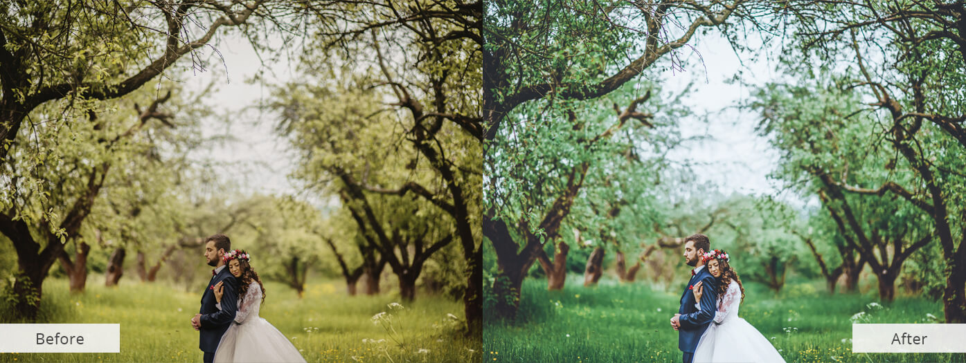 Photo Color Correction Services Photography Color Correction Company